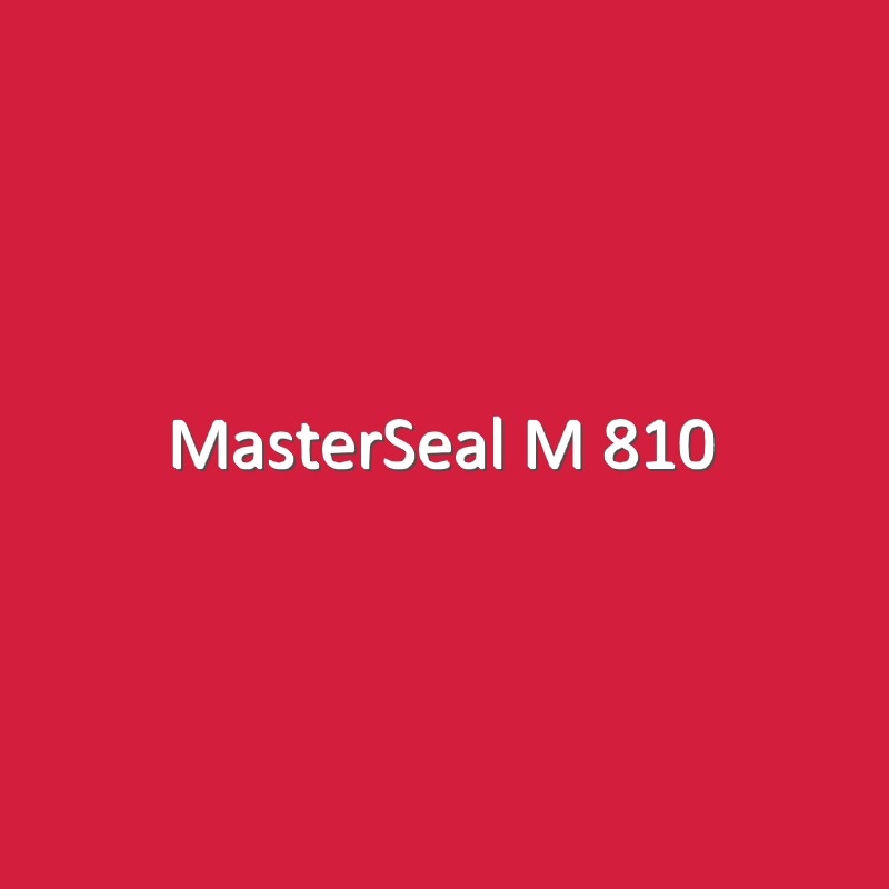 MasterSeal M 810